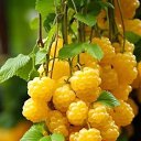 ���� ������, ������ - ��������� 6 ������� 2024 � ������ ������ ��������