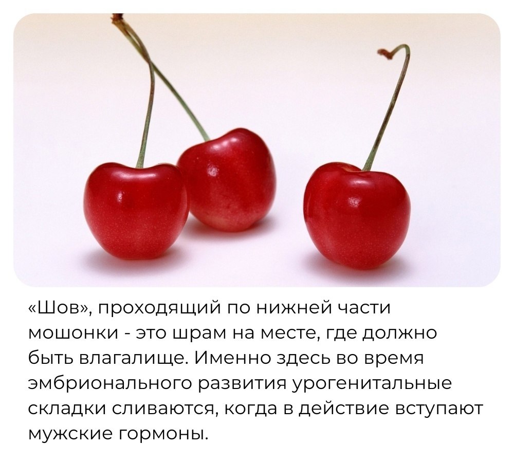 Discovery - 14 ���� 2025 � 18:02