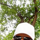 ���� �������, ����������, 38 ��� - ��������� 17 ���� 2025 � ������ ���� ����������