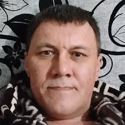 �������, ������, 46 ���