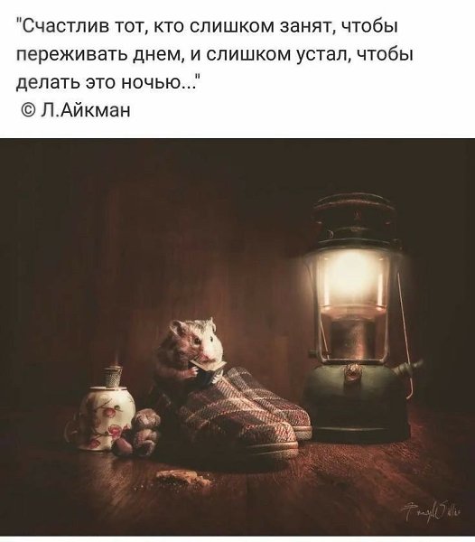   - 14  2024  09:40