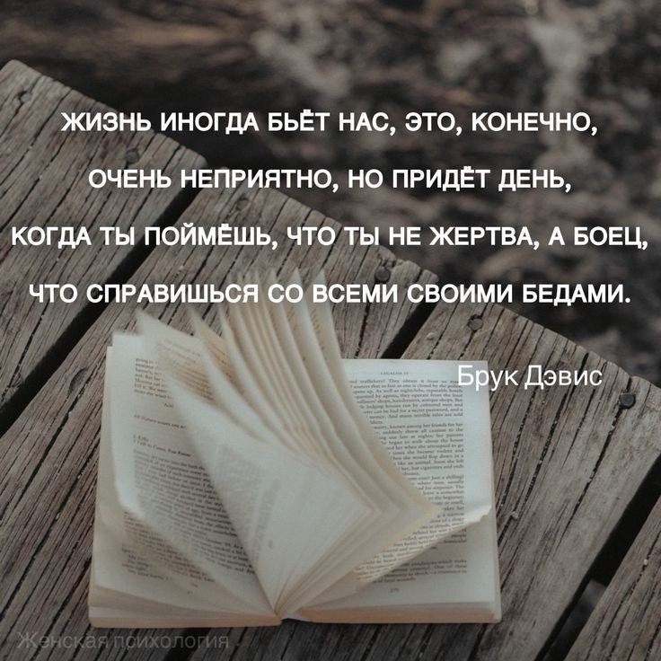   - 28  2024  15:49