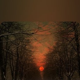 ���� Alexander, ������, 38 ��� - ��������� 30 ����� 2024
