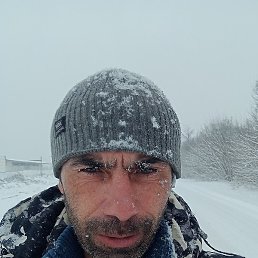 ��������, �����, 42 ����