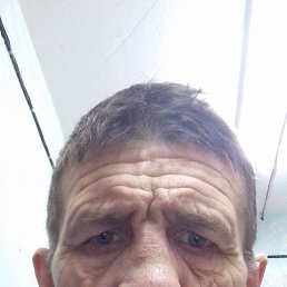 , 55, 