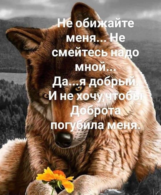 ₪╬═►  ||  ||  ◄═╬₪ - 3  2023  07:30