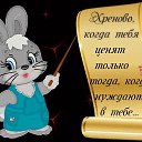 ���� �����, ������, 43 ���� - ��������� 27 ������� 2026 � ������ ���� ����������