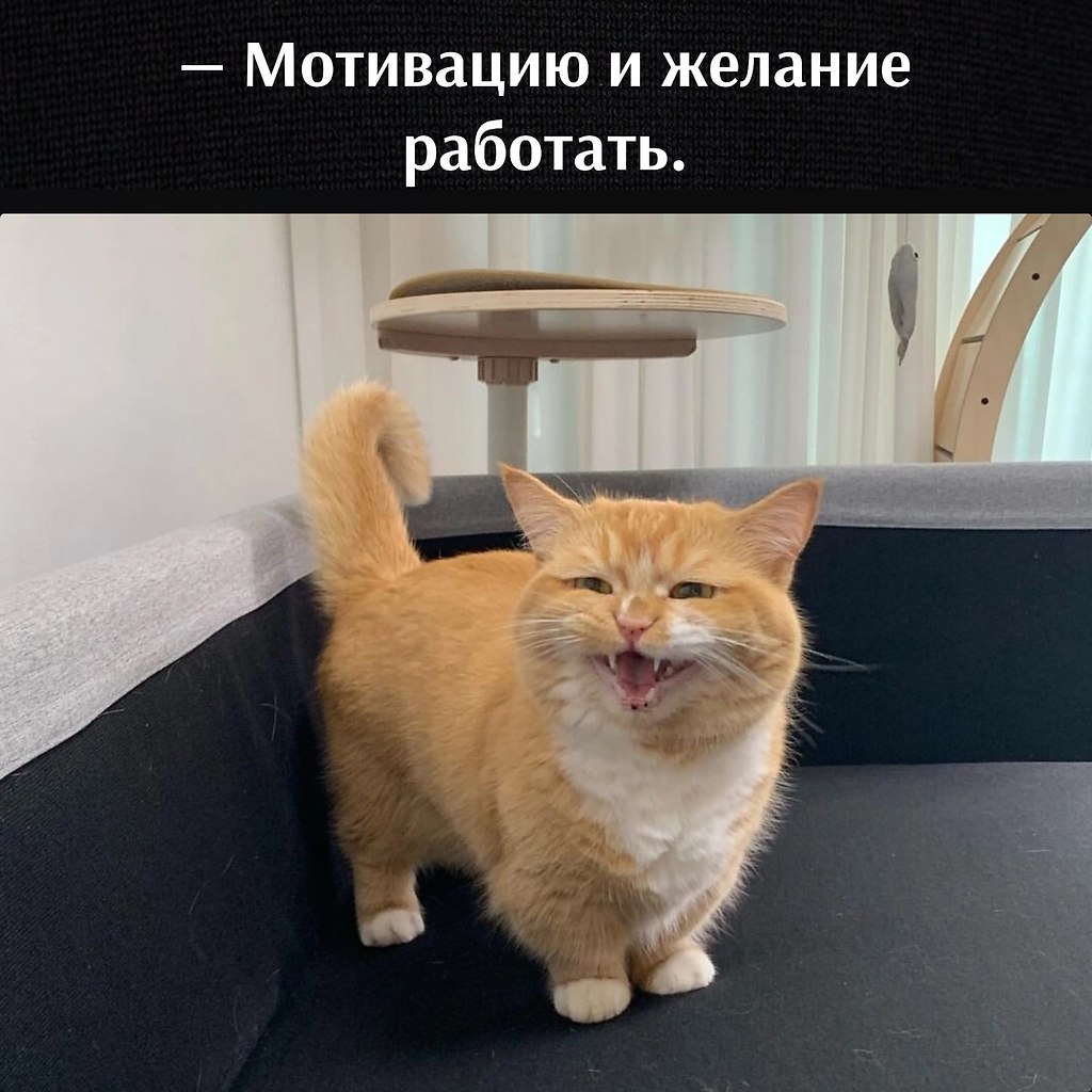       - 8  2025  12:02 - 4