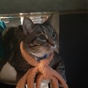 ���� ������, ���� - ��������� 12 ������ 2025 � ������ ������ ��������