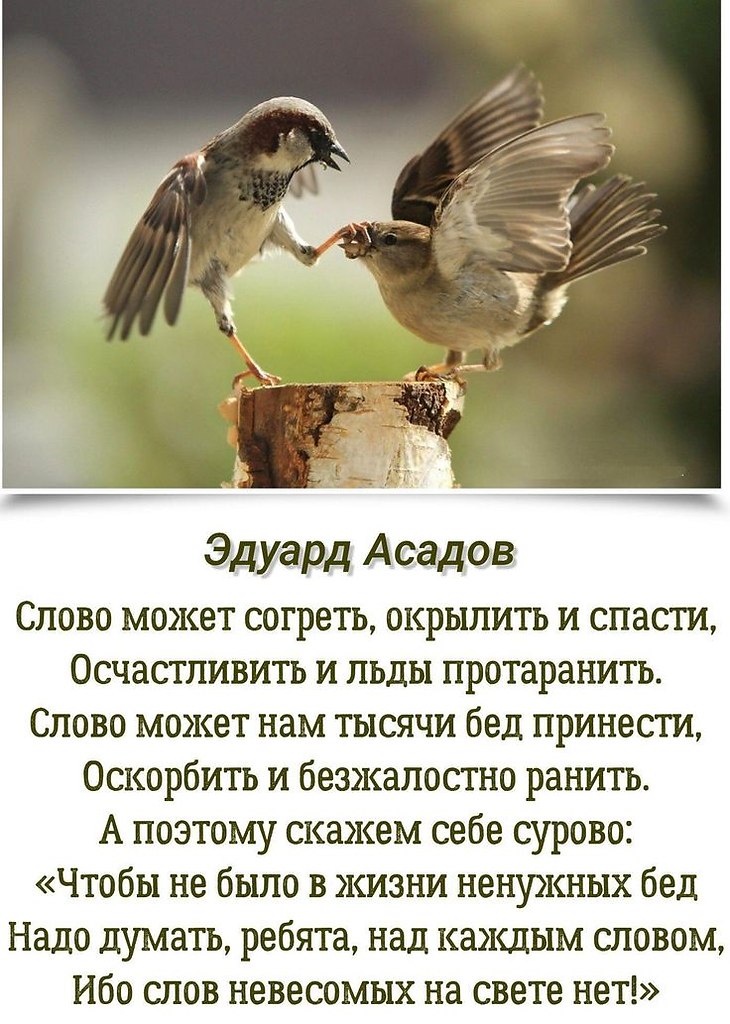 ₪╬═►  ||  ||  ◄═╬₪ - 11  2024  15:10