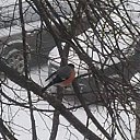 21.01.24�. ������ ��� � ������ ���� � ���� �������. �� ������� ���� ����������