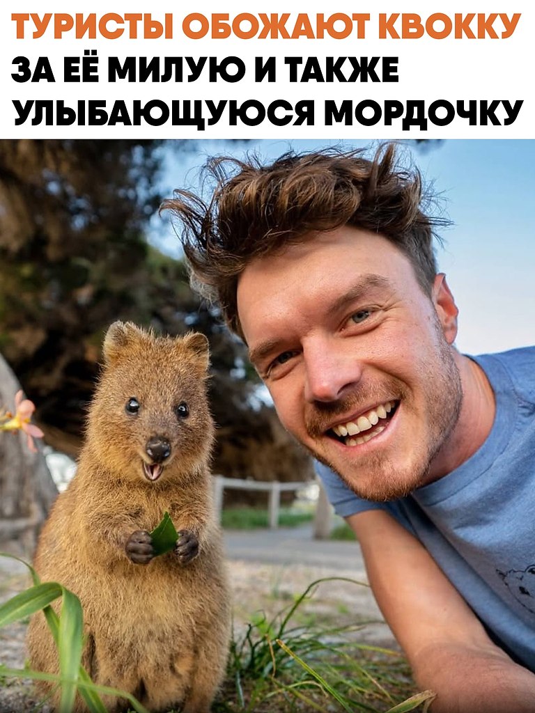 ������, ����� ���������� ������ ���������� �������� �� �����, �������� ����� �����, ��������� ...