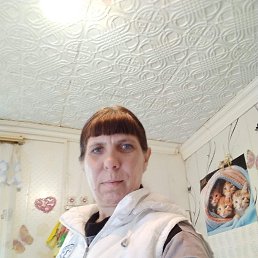 , 42, 