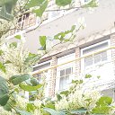 ���� ������, ������, 42 ���� - ��������� 9 �������� 2024 � ������ ���� ����������