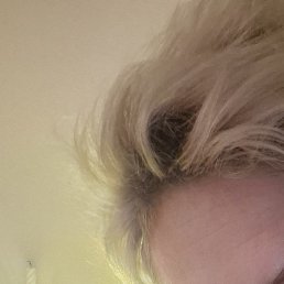 �������, ������, 48 ���