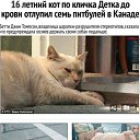 ���� ����, ��������� - ��������� 12 ��� 2026 � ������ ������ ��������