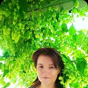 ���� Viktoria, ������ - ��������� 4 �������� 2024 � ������ ���� ����������