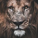 ���� ������, ������, 37 ��� - ��������� 21 ���� 2026 � ������ ���� ����������