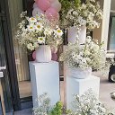 ���� ���������, ������, 37 ��� - ��������� 3 ������� 2025 � ������ ���� ����������