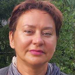 ����, �����-���������, 53 ����