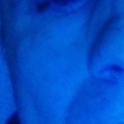 �����, 41 ���, ����