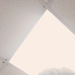 ����, ������, 64 ����