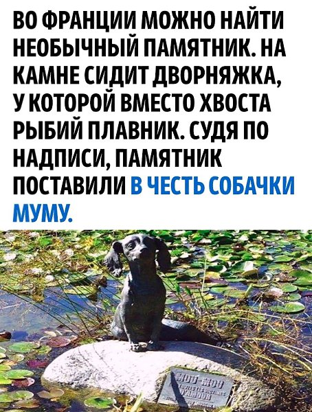   ! - 2