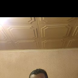 , 44 , 