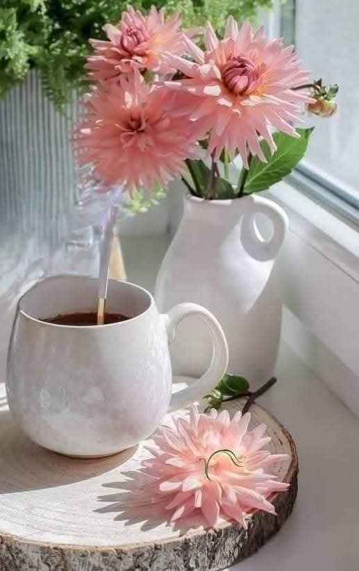 21 . .  ! ,      !  !