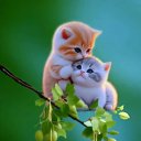 ���� ����, ����, 38 ��� - ��������� 18 ������� 2023