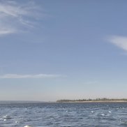 �������, 37 ���, ������