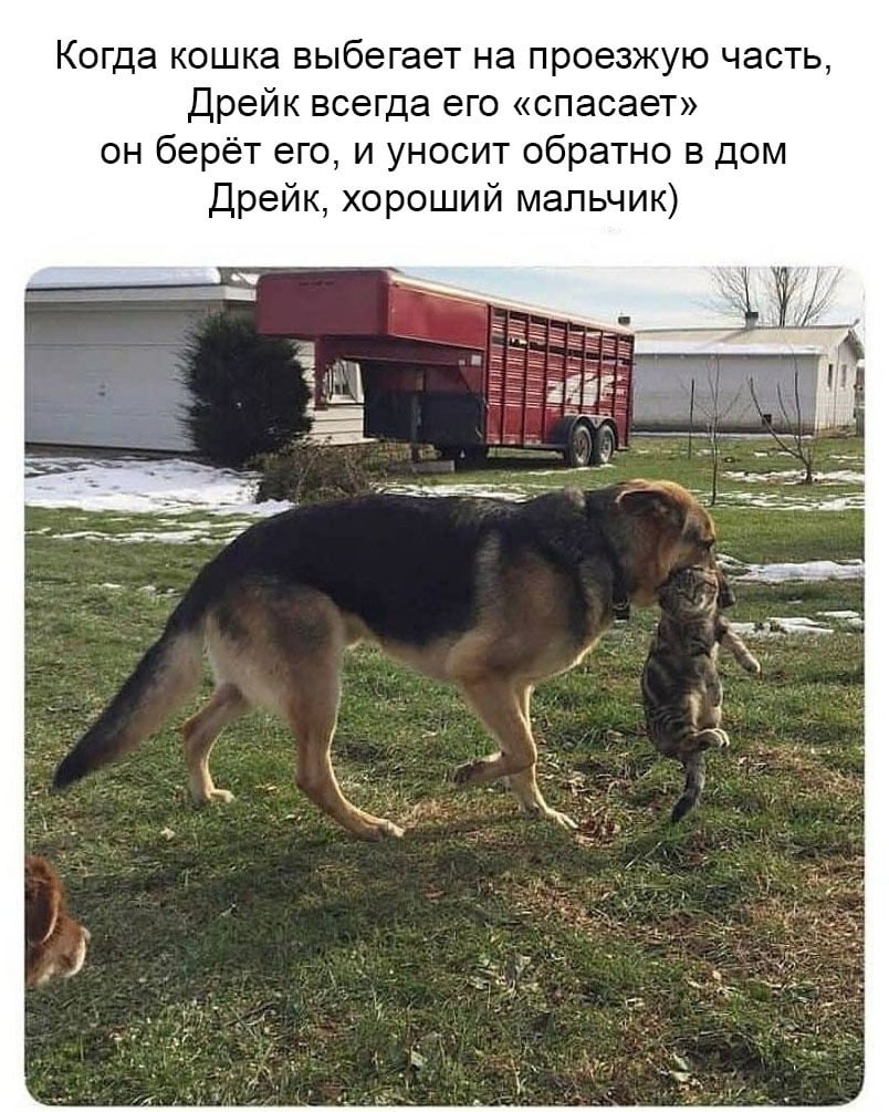 ����� ������������� ������� �������