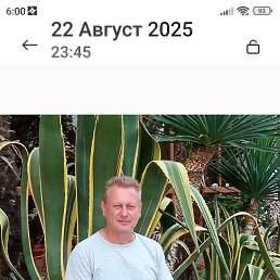 �����, 56 ���, ���������