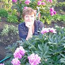 ���� ����, ������, 66 ��� - ��������� 13 ������� 2023