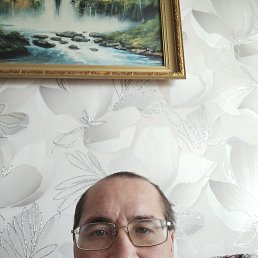 �������, 41 ���, ������