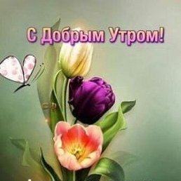 �����, ����, 71 ���