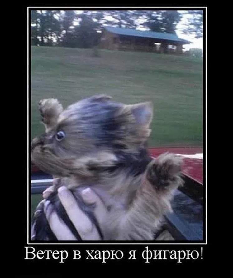 �� ����� - ������������� ������ �1 - 22 ������� 2025 � 00:50