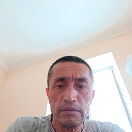 , 53, 