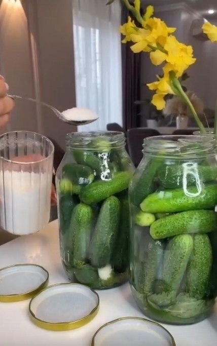 �a��e �p�c����e o��p���� �o���a��c� ��a�o�ap� ��o�� c�oco��.������:- ��c� �pe�a- �o���� ��po�a- ...