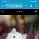 ���� �������, ������������, 58 ��� - ��������� 6 ������ 2024 � ������ ���� ����������