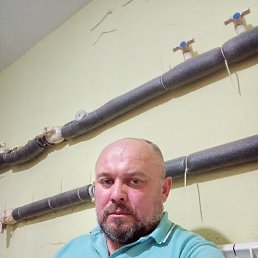 , 45, 