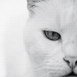 ���� ������, �����������, 50 ��� - ��������� 5 ������� 2026