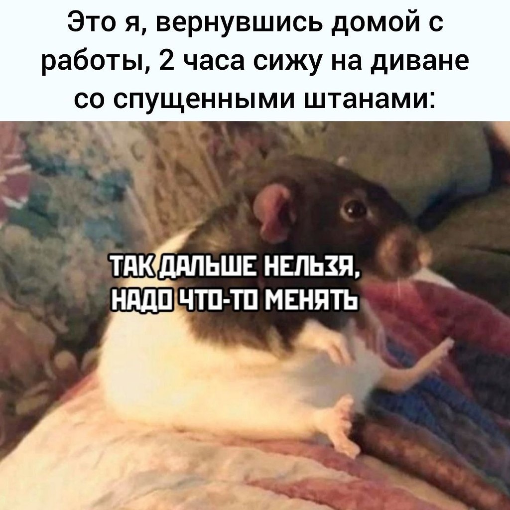 ОБО ВСЕМ - 17 июня 2025 в 20:47