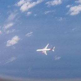 �����, ������������, 51 ���