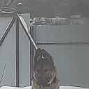 ���� ����, �������������, 48 ��� - ��������� 17 ������� 2024 � ������ ���� ����������