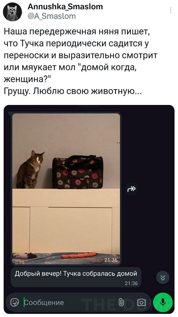 so`quiet