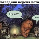���� �����, ���������, 44 ���� - ��������� 31 ������� 2024 � ������ ������ ��������