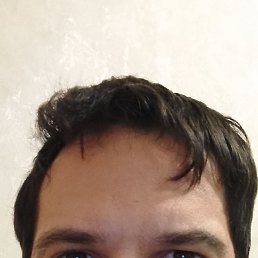 , 33,  