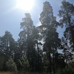 ���� �������, ���������, 43 ���� - ��������� 25 ������ 2025