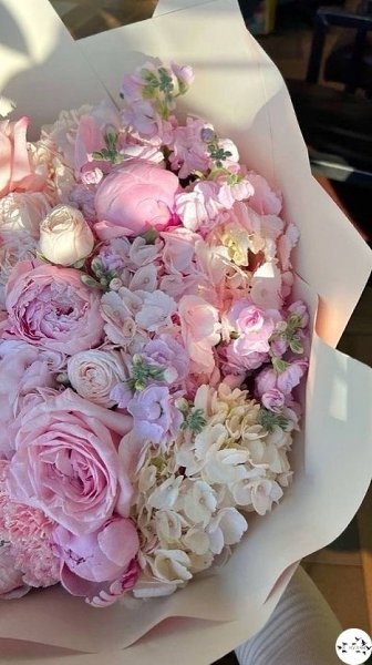 a��o� �e�o��e c�ac��� ce�o��� � �a�ce��a.���� ����� ����� � ������� - 2